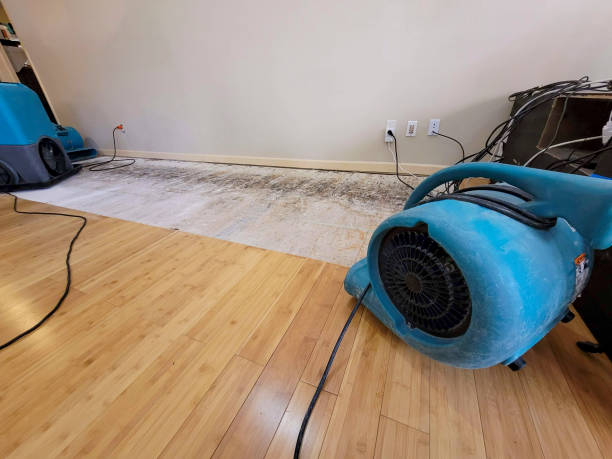 Professional Flood Damage Cleanup technician working in Cairo, NY